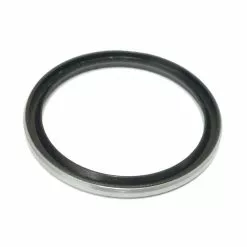 DT Swiss Dichtung Hinter Freilauf Für Zahnscheiben Hinterrad-Naben