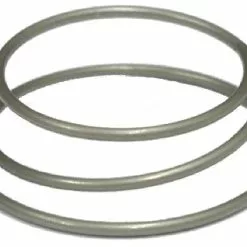 DT Swiss Feder Für Zahnscheiben Hinterrad-Naben